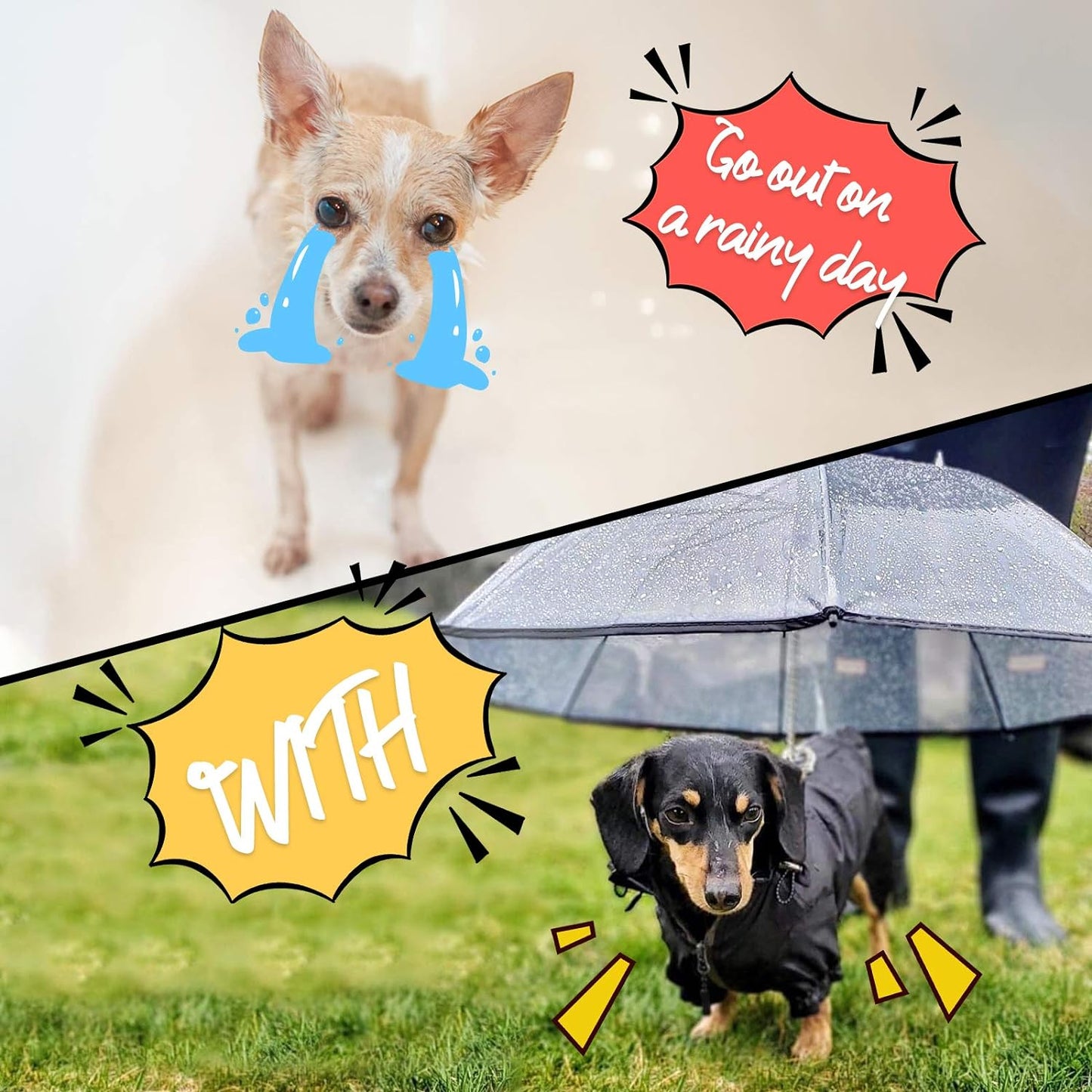 Dog Umbrella Leash – Clear Rain Shield for Small Dogs