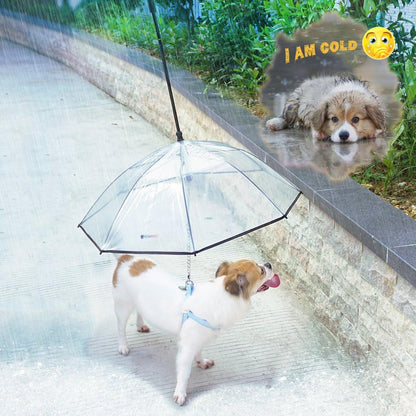 Dog Umbrella Leash – Clear Rain Shield for Small Dogs