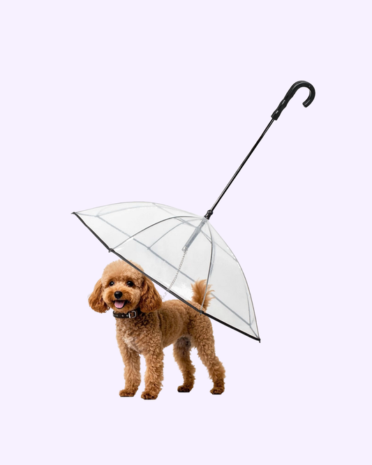 Dog Umbrella Leash – Clear Rain Shield for Small Dogs