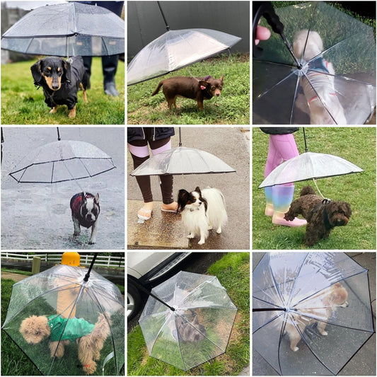 Dog Umbrella Leash – Clear Rain Shield for Small Dogs