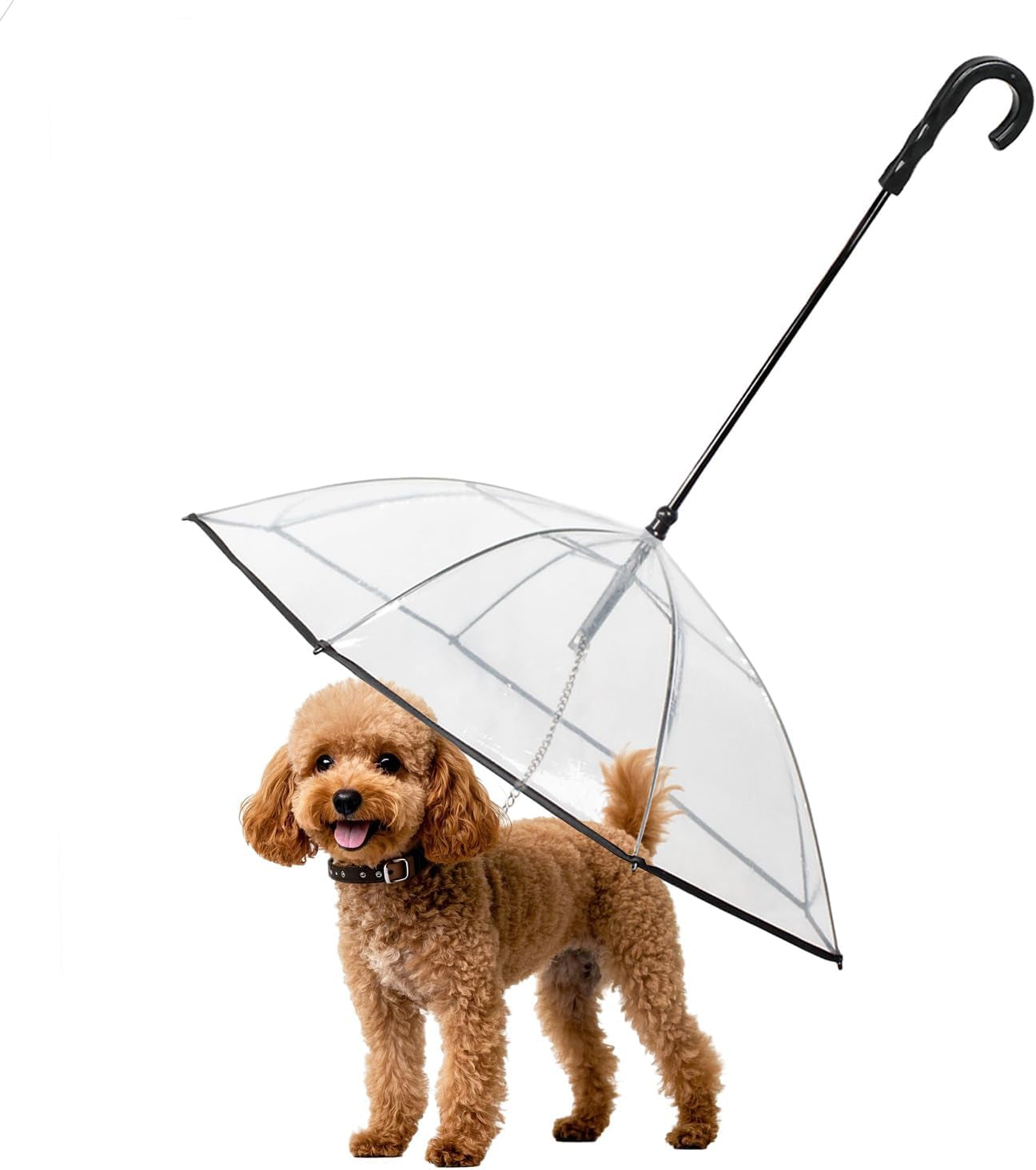 Dog Umbrella Leash – Clear Rain Shield for Small Dogs